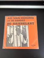 Ad van Hoorn- De Bajesklant, Cd's en Dvd's, Ophalen of Verzenden, Zo goed als nieuw, Overige formaten, Levenslied of Smartlap