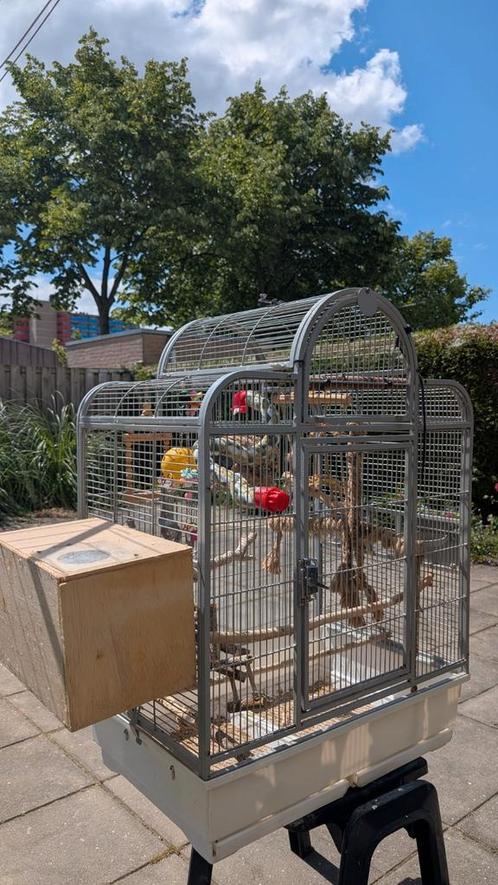 kooi en (lady) 1 jarige valkparkiet, Dieren en Toebehoren, Vogels | Hokken en Kooien, Gebruikt, Vogelkooi, Metaal, Ophalen of Verzenden
