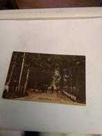 ERMELO. INGANG. VELDWIJK  1925, Verzamelen, Ansichtkaarten | Nederland, Ophalen of Verzenden, 1920 tot 1940, Gelderland