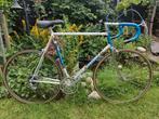 Gazelle Champion Mondial AA-frame 60,5 cm AA 1981 campagnolo, Ophalen, Gebruikt, 57 tot 61 cm, Gazelle