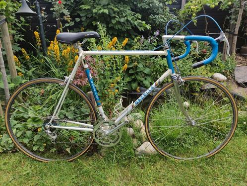 Gazelle Champion Mondial AA-frame 60,5 cm AA 1981 campagnolo, Fietsen en Brommers, Fietsen | Racefietsen, Gebruikt, Gazelle, 10 tot 15 versnellingen