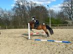 Bijrijder aangeboden (13j F7) voor pony/paard in Malden e.o., Dieren en Toebehoren
