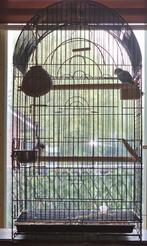 Vogelkooi 120 hoog, Ophalen of Verzenden, Zo goed als nieuw, Metaal, Vogelkooi