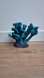 Aquarium decoratie (zwaar) koraal, Dieren en Toebehoren, Ophalen of Verzenden, Plant(en), Steen of Hout