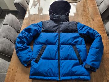 Nieuwe heren winterjas Tommie Hilfiger  beschikbaar voor biedingen