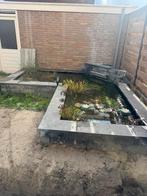 Vijver compleet met 13-14 vissen, Ophalen, Zo goed als nieuw