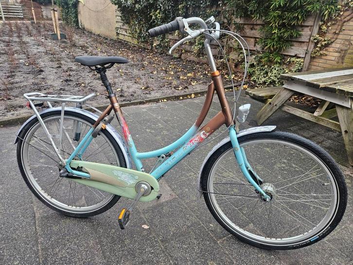 Batavus Blockbuster damesfiets. 3 versnellingen.Framemaat 56, Fietsen en Brommers, Fietsen | Dames | Damesfietsen, Gebruikt, Batavus