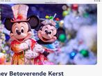 2 daags busreis 2 pers naar Disneyland en Parijs 22 november, Tickets en Kaartjes, Eén persoon, Ticket of Toegangskaart