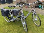 2 X Giant Twist go double Elektrische fietsen, Ophalen, Gebruikt, Minder dan 30 km per accu, Giant