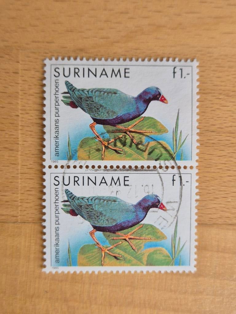 Suriname 1985 vogel, Postzegels en Munten, Postzegels | Suriname, Ophalen of Verzenden, Gestempeld