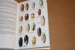Boek. Elseviers schelpengids., Ophalen of Verzenden, Fossiel