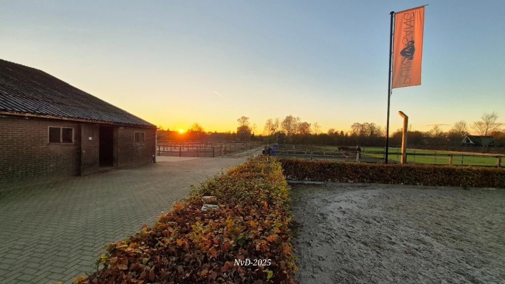 vakantiestalling paard op de Veluwe, Stalling, 4 paarden of pony's of meer