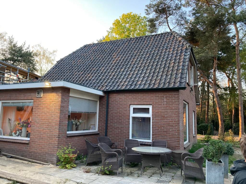 Ca 1500 Oude hollandse dakpannen in goede staat, Ophalen, Steen of Klei, Zo goed als nieuw, 15 m² of meer