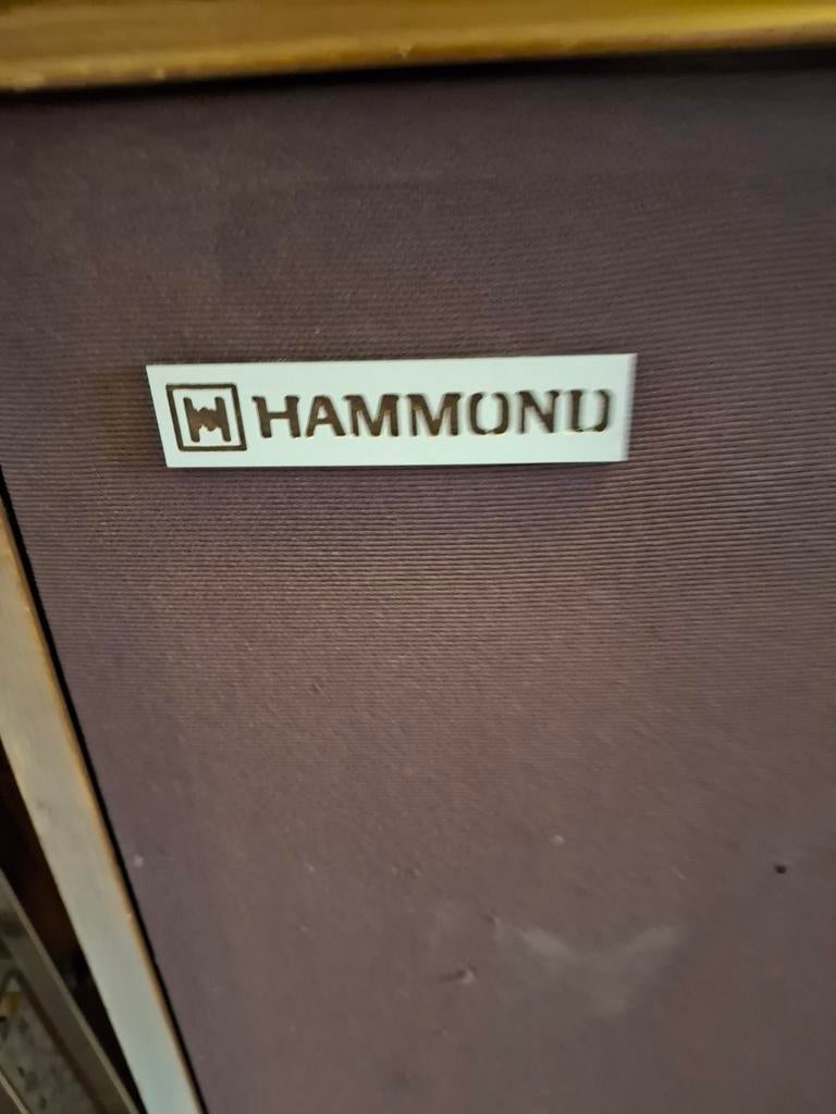 Hammond Leslie Speaker - Vintage Geluid, Ophalen of Verzenden