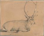 John Henry Smith tekening "Rustend Hert", ca1850, gesigneerd, Ophalen