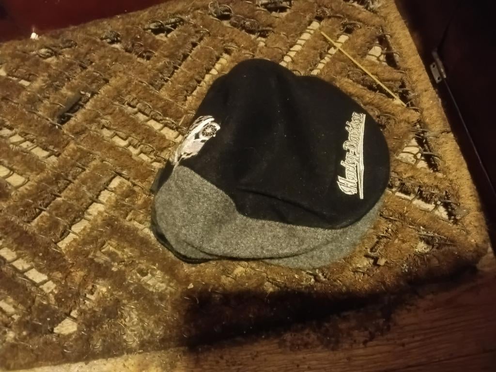 Originele Harley Davidson Pet - Made in USA, Kleding | Heren, Hoeden en Petten, Ophalen, One size fits all, Pet, Harley Davidson