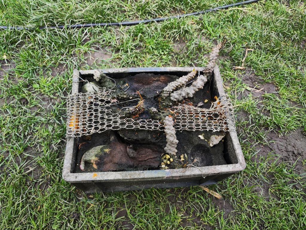 Gele waterlelie, Ophalen, Zo goed als nieuw, Overige typen