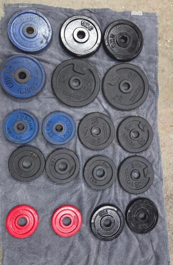 Gietijzeren halterschijven +-27kg, Sport en Fitness, Fitnessmaterialen, Ophalen, Gebruikt