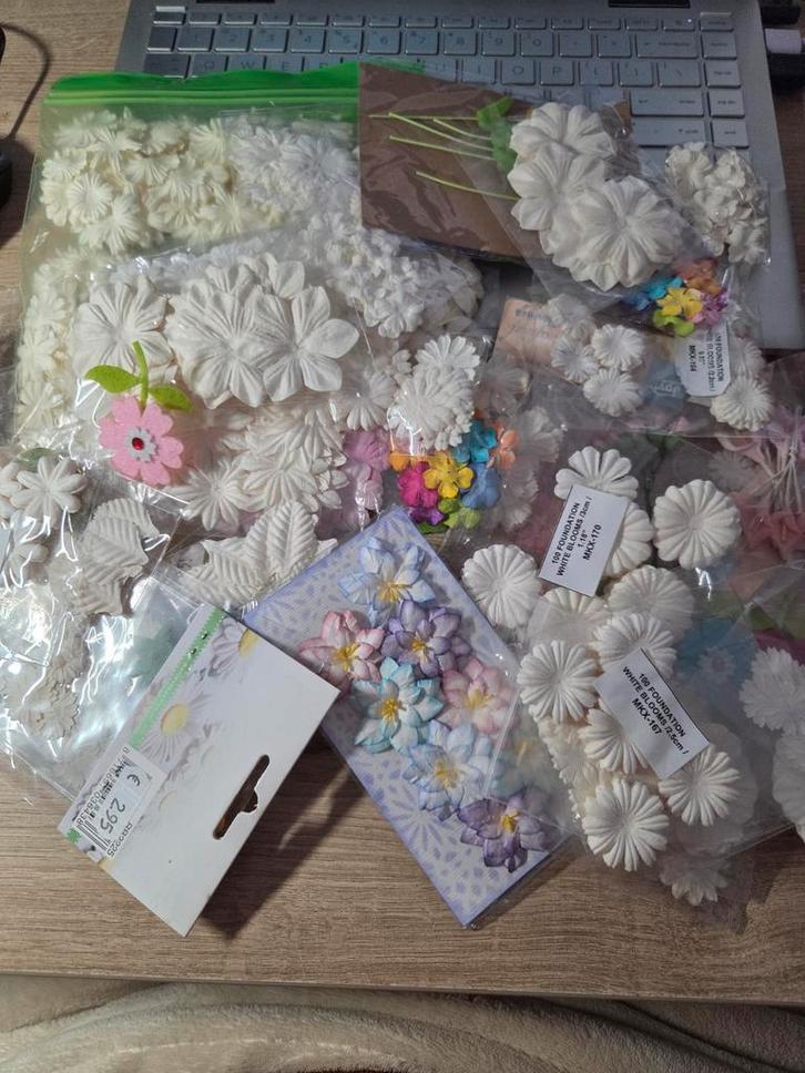 bloemen voor op kaarten, Hobby en Vrije tijd, Kaarten | Zelf maken, Nieuw, Overige typen, Overige thema's, Ophalen of Verzenden