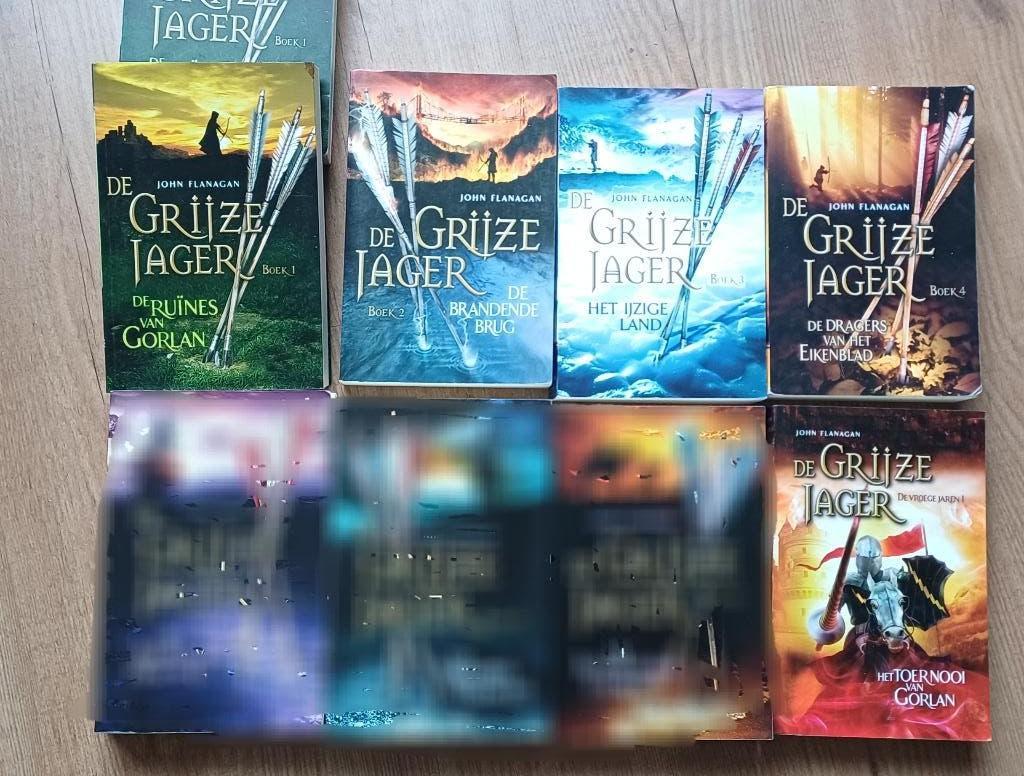 De grijze jager delen, Ophalen of Verzenden, Gelezen, John Flanagan