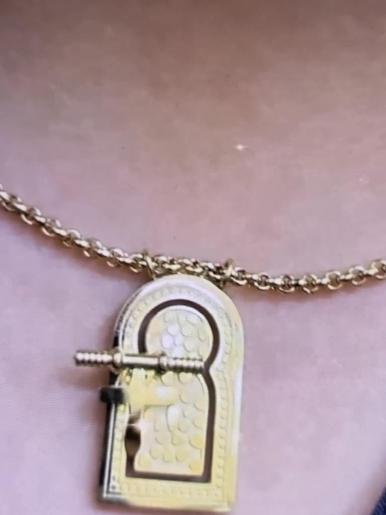 Ketting roestvrijstalen, Sieraden, Tassen en Uiterlijk, Ophalen of Verzenden, Nieuw, Goud, Overige materialen