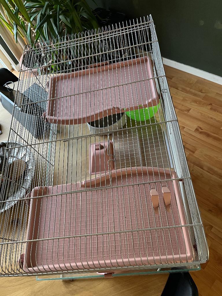 Cavia kooi en toebehoren, Dieren en Toebehoren, Kooi, 75 tot 110 cm, Ophalen, Minder dan 60 cm