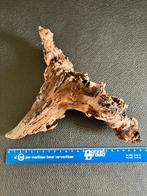 Aquarium hout, Dieren en Toebehoren, Ophalen of Verzenden, Zo goed als nieuw, Plant(en), Steen of Hout