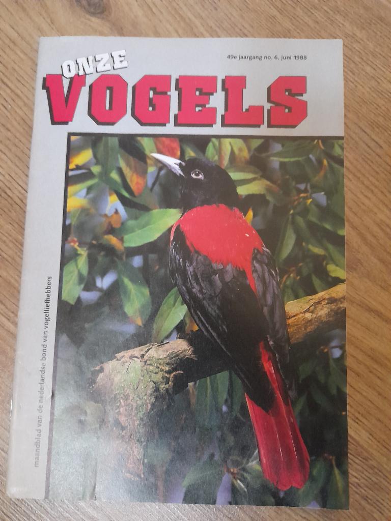 Gratis ophalen blad Onze Vogels en De witte spreeuwen, Boeken, Tijdschriften en Kranten, Ophalen, Zo goed als nieuw, Sport en Vrije tijd