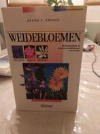 B.P. Kremer - Weidebloemen, Ophalen of Verzenden, Zo goed als nieuw, B.P. Kremer