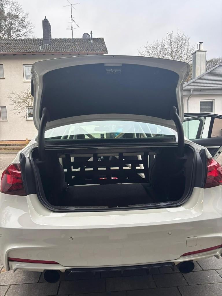 BMW 3er F30/ F80 Clubsport Netz (Set), Ophalen of Verzenden, Nieuw, BMW