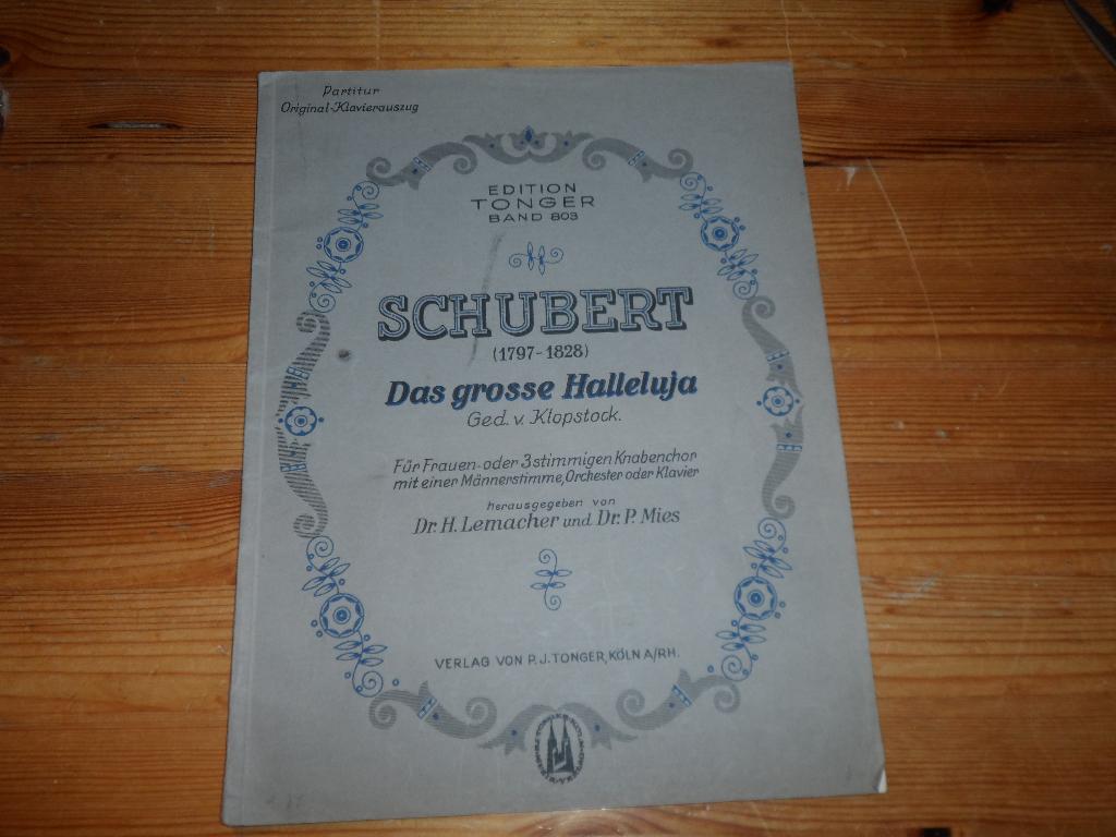 Schubert - das grosse halleluja, Gebruikt, Klassiek, Ophalen of Verzenden, Piano