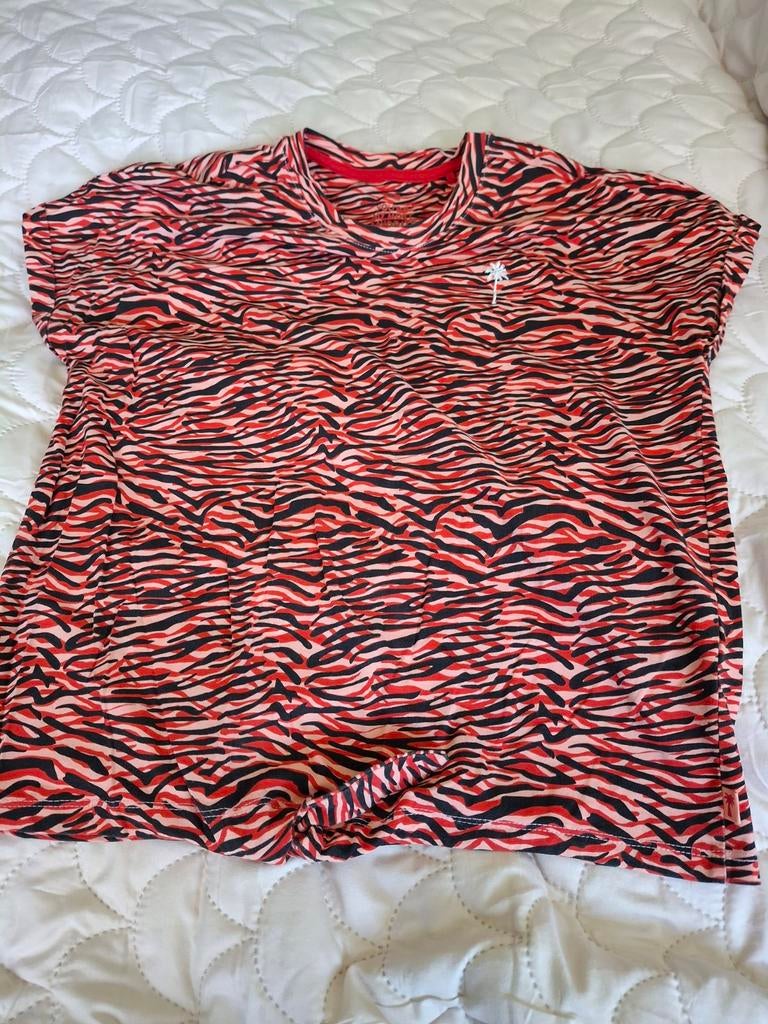 WE nieuw shirtje 158, Kinderen en Baby's, Kinderkleding | Maat 158, Ophalen of Verzenden, Nieuw, Meisje, Shirt of Longsleeve