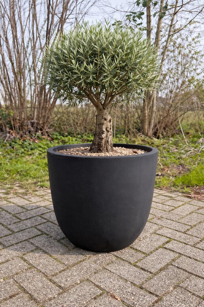 Bloempot antraciet - geschikt voor bomen, Ophalen, Steen, Rond, Nieuw