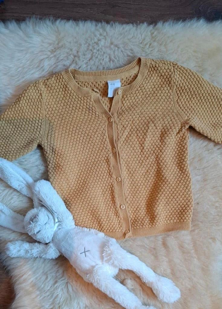H&M - Heel mooi okergeel vestje - Maat 86, Kinderen en Baby's, Babykleding | Maat 86, Ophalen of Verzenden, Zo goed als nieuw