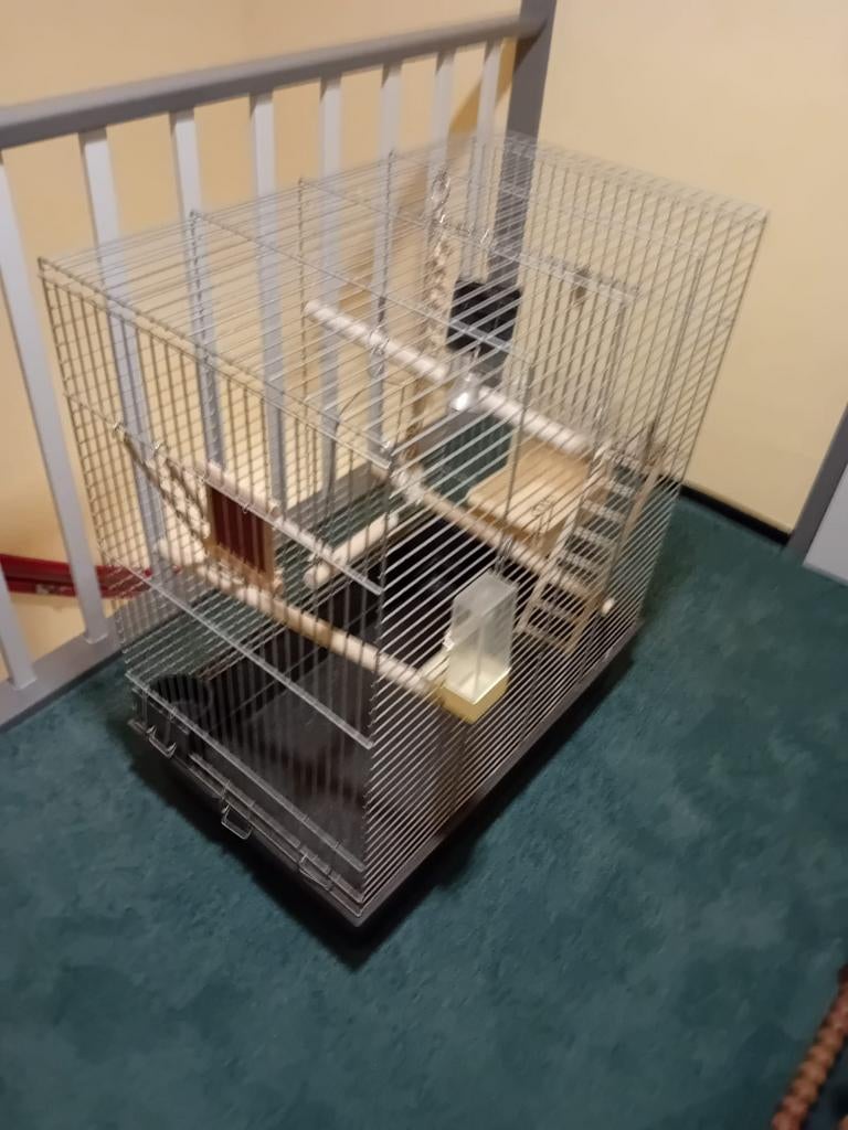 Royale vogelkooi, Dieren en Toebehoren, Vogels | Hokken en Kooien, Ophalen, Metaal, Vogelkooi