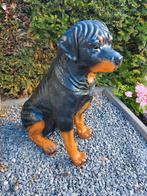 Rottweiler, Ophalen, Dierenbeeld, Onbekend, Nieuw