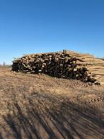 Paalhout robinia, Ophalen of Verzenden, Nieuw