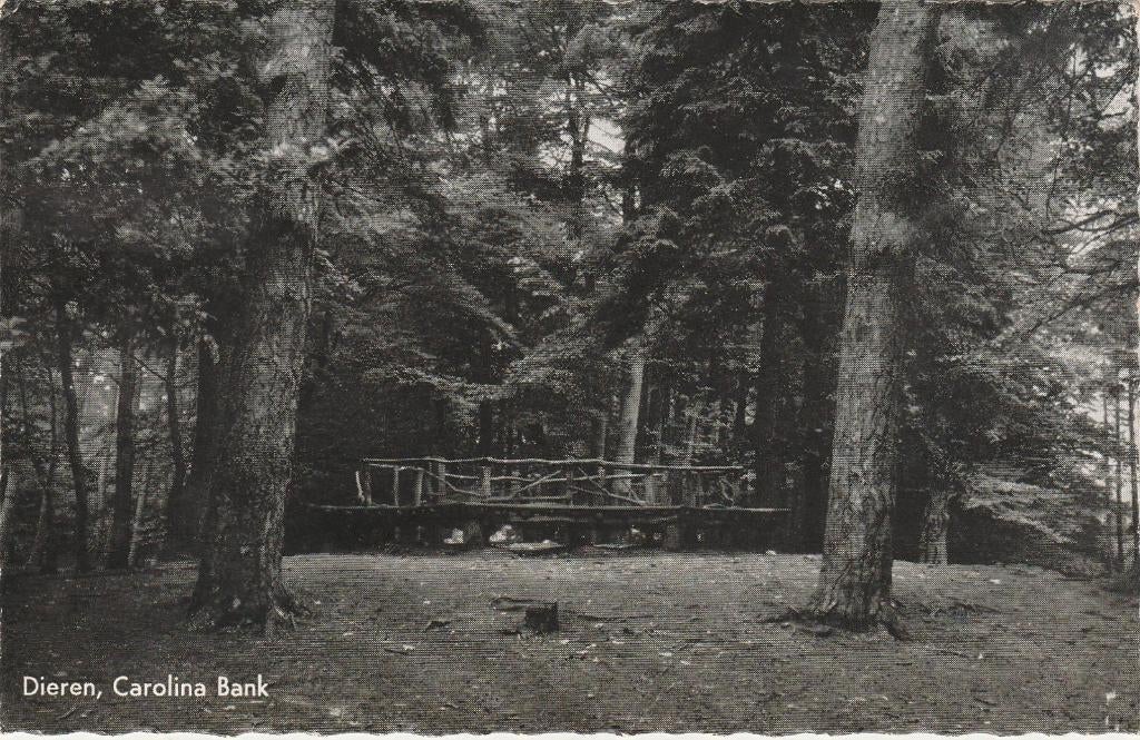 DIEREN (Gld) Carolina Bank, Verzenden, 1960 tot 1980, Gelopen, Gelderland