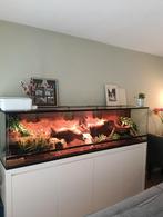 Custom build Terrarium 210 x 50 x 55, Ophalen, Gebruikt, Terrarium of Paludarium