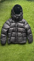 Burberry 2 in 1 Puffer Halsby, Ophalen of Verzenden, Zo goed als nieuw, Overige maten, Zwart
