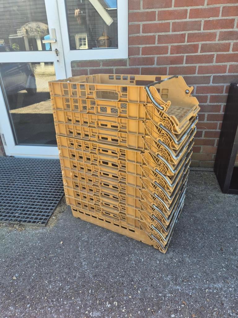 11 broodkratten, Ophalen, Doos, Onbekend, Minder dan 35 cm