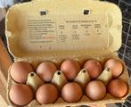 Broedeieren Harco kippen, Ophalen, Zo goed als nieuw, Overige typen