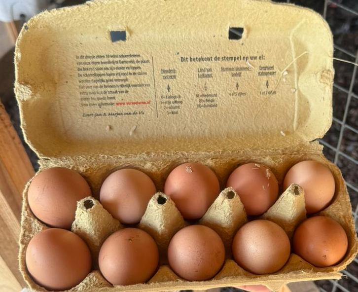 Broedeieren Harco kippen, Dieren en Toebehoren, Pluimvee | Toebehoren, Zo goed als nieuw, Overige typen, Ophalen