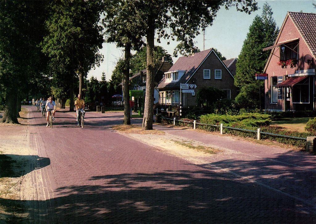 Groeten uit Zorgvlied [Dr.], Dorpsstraat - 1994 gelopen, Ophalen of Verzenden, Voor 1920, Gelopen, Drenthe
