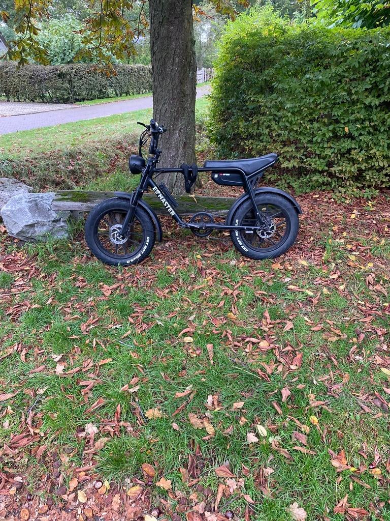 Esmaster Ghost 250, Fietsen en Brommers, Elektrische fietsen, Zo goed als nieuw, 50 km per accu of meer, 55 tot 59 cm, Ophalen