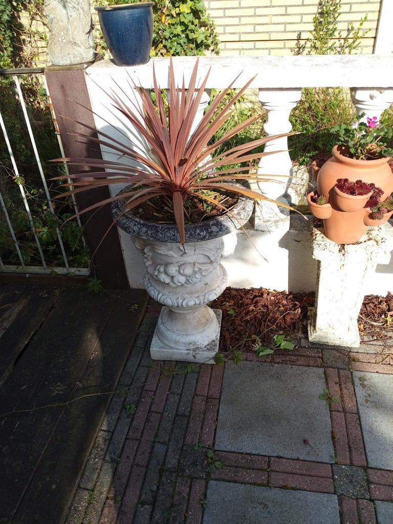 Grote stenen tuinvaas, Tuin en Terras, Tuinvazen, Ophalen