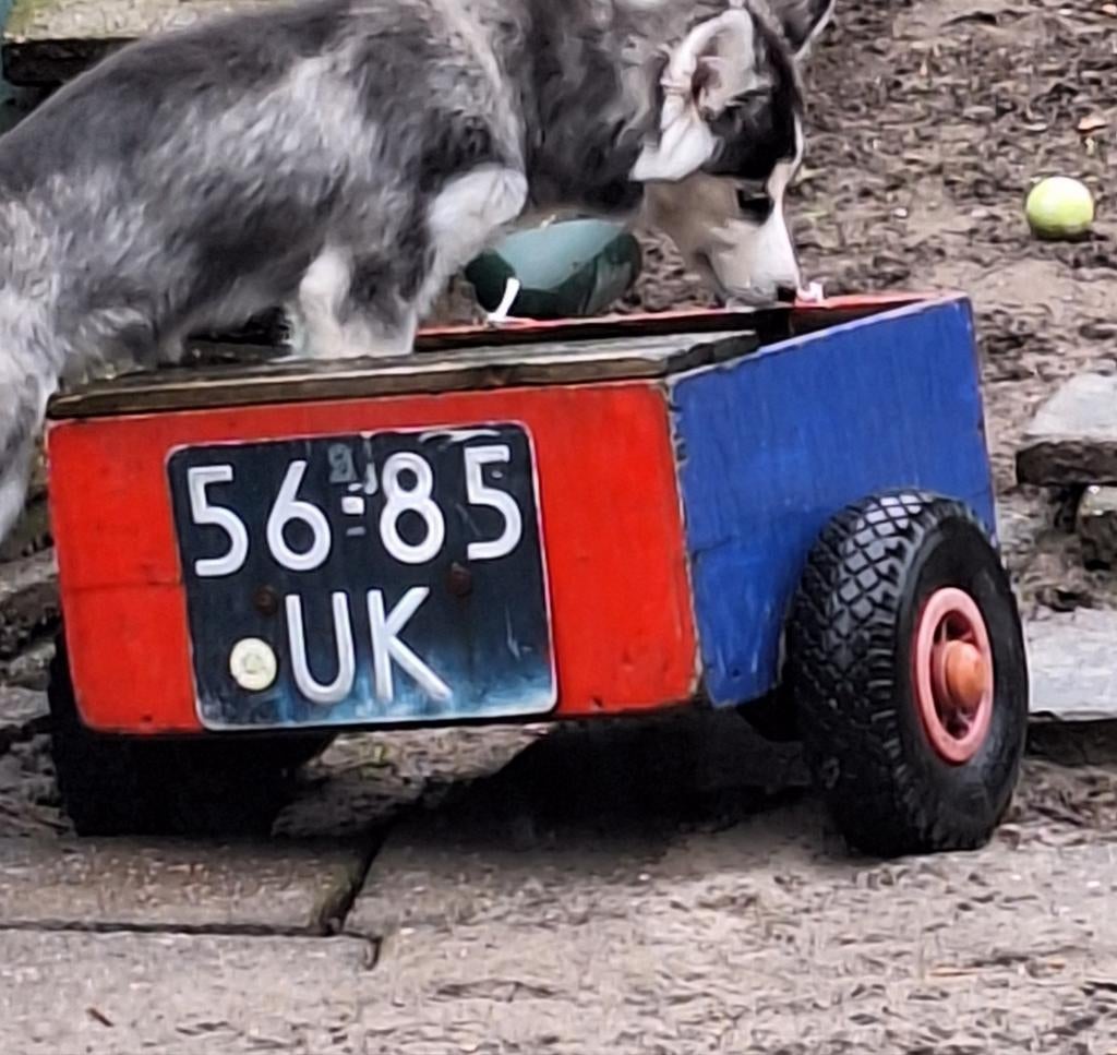 Skelter aanhanger - Opknapper, Ophalen, Gebruikt, Overige typen