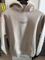 Pull & bear hoody, Ophalen of Verzenden, Gedragen, Maat 46 (S) of kleiner, Overige kleuren