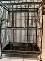 Grote parkieten/kaketoe/dwerg-ara/papegaaien/vogel-kooi., Dieren en Toebehoren, Vogels | Parkieten en Papegaaien, Meerdere dieren