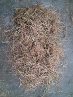 Grote onverpakte hooi balen, Ophalen of Verzenden